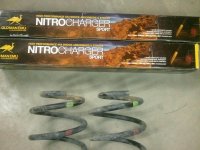 rear springs.jpg