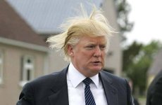 donald-trump-hair.jpg