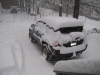 Winter 2012 009-samll.jpg