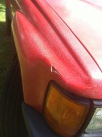 IMG_1565.jpg