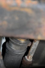 hose clamp.jpg hose clamp.jpg