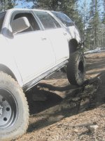 IMG_1543.jpg