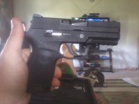 Sig P250.jpg