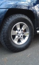 IMAG0271.jpg