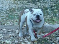 Thanksgiving Day 2011 007.jpg
