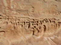 IMG_1349.jpg