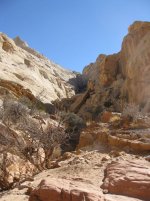 IMG_1358.jpg