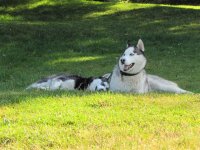 Aug.15th_Mon._056.jpg