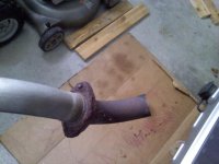 downsized_0415021129.jpg