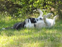 Aug._17th_Wed._069.jpg