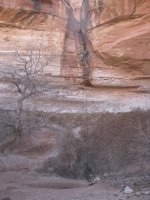 IMG_1446.jpg