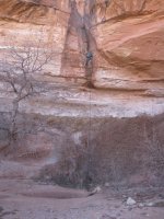 IMG_1447.jpg