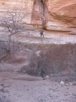 IMG_1448.jpg