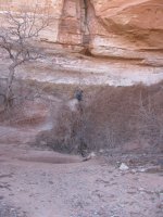 IMG_1449.jpg