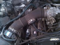 IMG01049-20110914-1438.jpg