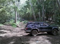 muddin4.jpg