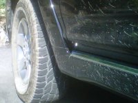 IMG00267-20120829-1005.jpg