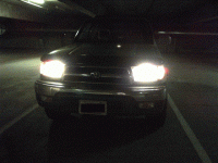 light-wo (Small).gif