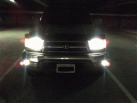 light-w (Small).gif