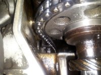 Timing Chain.jpg