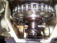 Timing chain3.jpg
