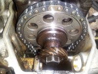 Timing Chain2.jpg