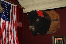 DSC_4658.jpg