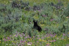 DSC_5125.jpg