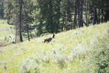 DSC_5066.jpg