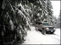 4Runner 006.jpg