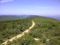 IMG-20120527-00129.jpg
