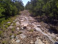 IMG-20120527-00124.jpg