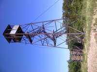 IMG-20120527-00126.jpg