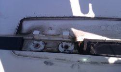 IMAG0636.jpg