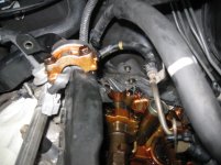 2012-01-15 006.jpg
