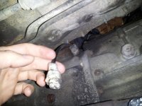 trans plug1.jpg