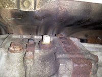 Trans Plug.jpg