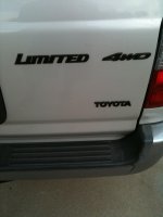 plastidip limited.jpg