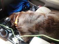 copilot.jpg