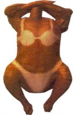 TURKEY.jpg
