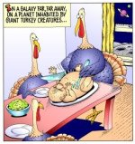 funny-turkey2.jpg