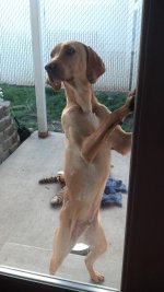 2012-06-30_07-20-57_8.jpg