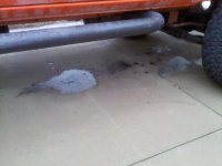 oil spill.jpg