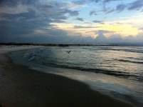 IMG_1011.jpg IMG_1011.jpg