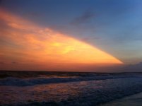 IMG_1134.jpg IMG_1134.jpg