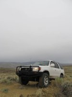 IMG_0203.JPG