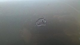 2011-11-20_12-44-38_452.jpg