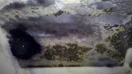 2011-11-20_13-50-23_734.jpg
