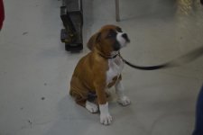 DSC_0211.jpg