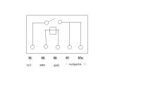 rear window relay layout.jpg